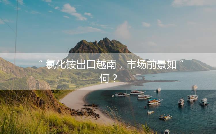 氯化銨出口越南，市場前景如何？